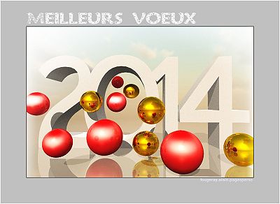 Perron 24 voeux-2014-01.jpg