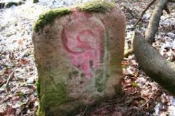 Comment:Une crosse bien visible sur une borne ayant servi à marquer a limite d’une coupe de bois (en rouge).